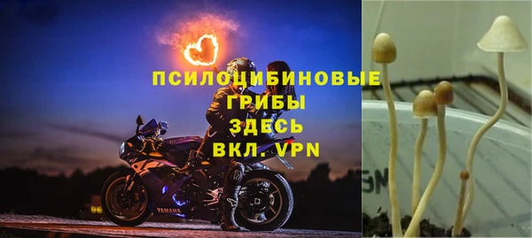 скорость Бердск