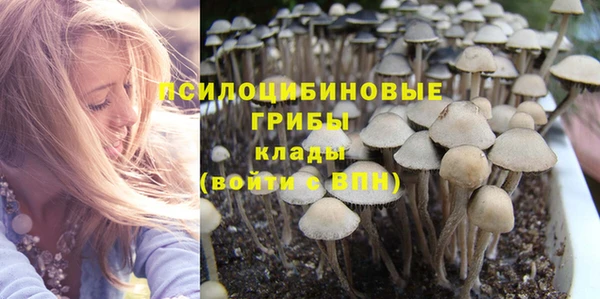 винт Балахна